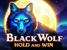 Black Wolf Hold and Win game thumbnail