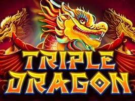 Triple Dragon game thumbnail