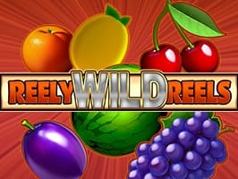 Reely Wild Reels game thumbnail